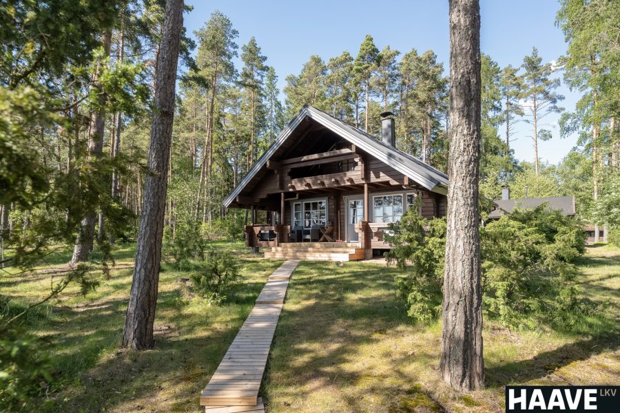 1718104619831-130283